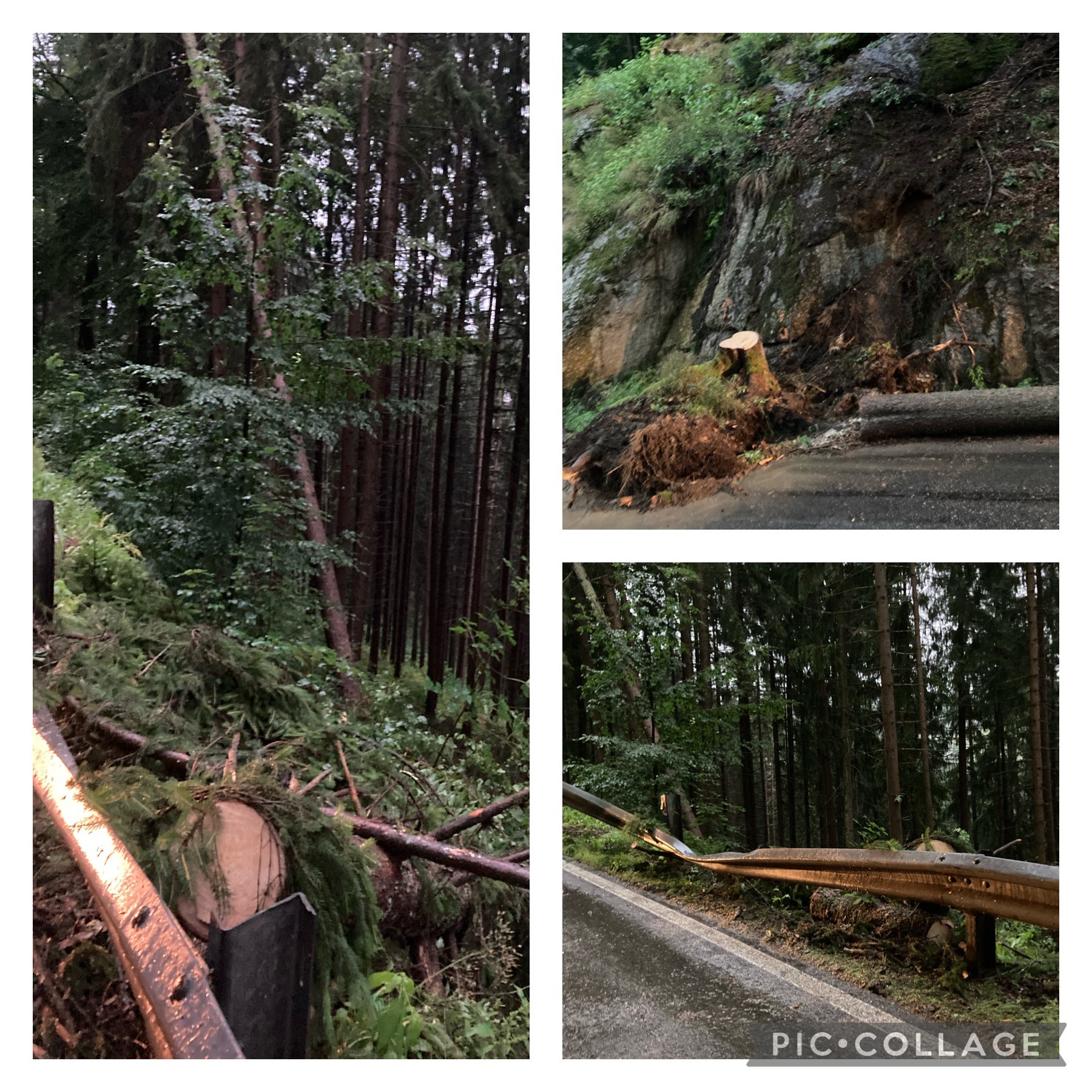 Sturmschaden 250721
